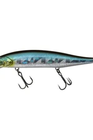Jackall RV Minnow SP 11cm, 16,3g - RT Visible Roach Commander Vite
