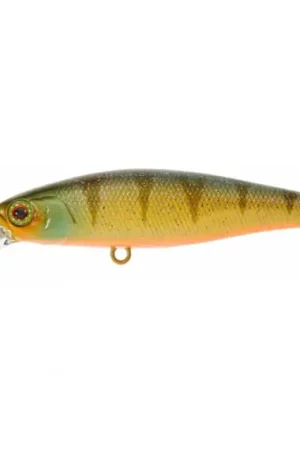 Jackall Squad Minnow 65 SP Nf Ablette Marque