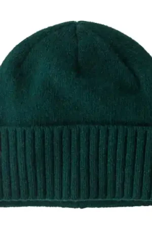 Patagonia Brodeo Beanie CASG Must-Have