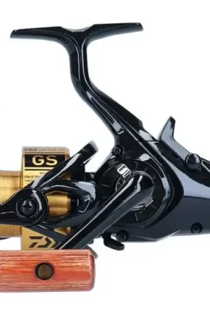 Commander Maintenant Daiwa 20 GS BR LT 5000-C