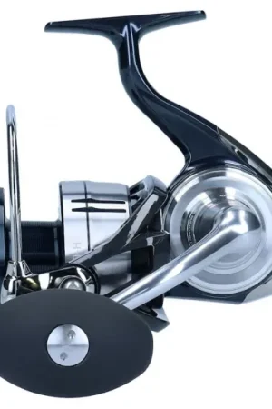 Prix Cassé Daiwa 21 Certate SW (G) 10000-H