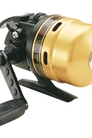 Bon Plan Daiwa Gold Cast 100A