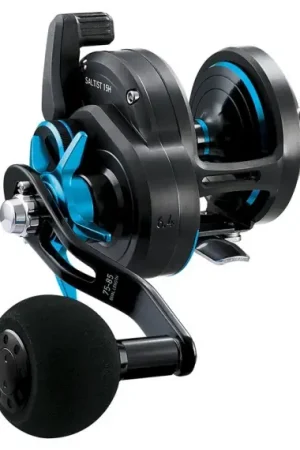 Daiwa 18 Saltist 15H Prix Choc