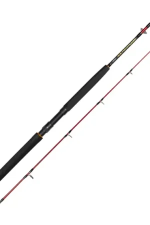 Offre Limitée Daiwa Seahunter Spin 6' 2pc 120-300g