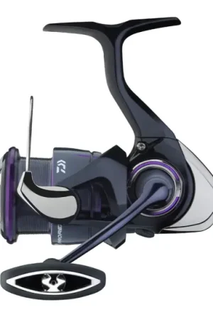 Daiwa 25 Prorex V - LT2000 Prix Promo