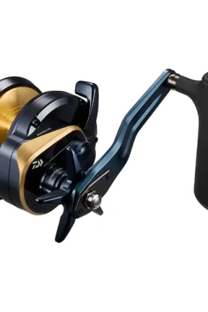 Meilleure Vente Daiwa 25 Saltiga (G) - 35