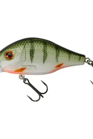 Authentique Gunki Dogora 65 F - Mat Fire Tiger