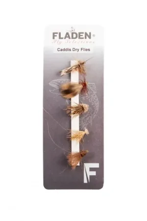 Fladen Maxximus Flies 5-pack Caddis Dry Offre Limitée