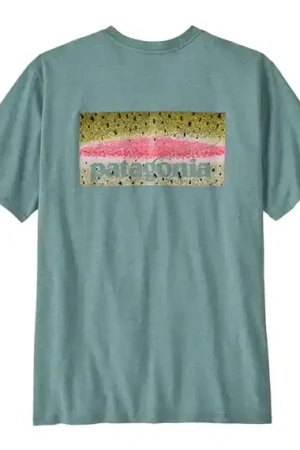 Expédié Aujourd'hui Patagonia M's Take a Stand Responsibili-Tee RBSG - XXL