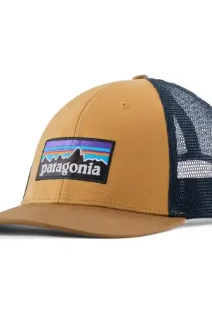 Patagonia P-6 Logo LoPro Trucker Hat TNGO Must-Have