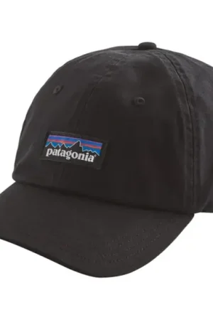 Petit Prix Patagonia P-6 Label Trad Cap Black