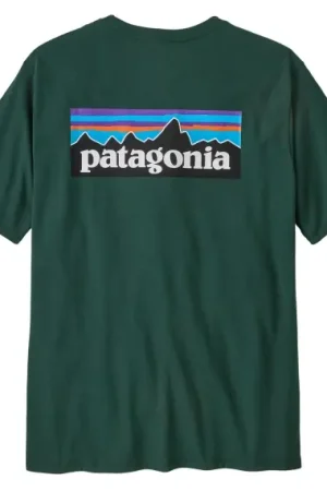 Patagonia M's P-6 Logo Responsibili-Tee CASG - S Dernier Modèle