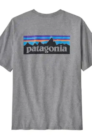 Promotion Saisonnière Patagonia M's P-6 Logo Responsibili-Tee GLH - XXL