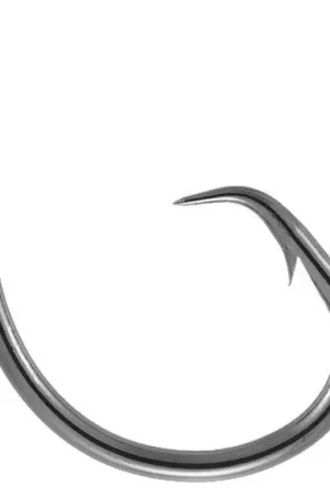 Offre Du Jour Mustad Demon Circle Heavy Hooks - 10/0