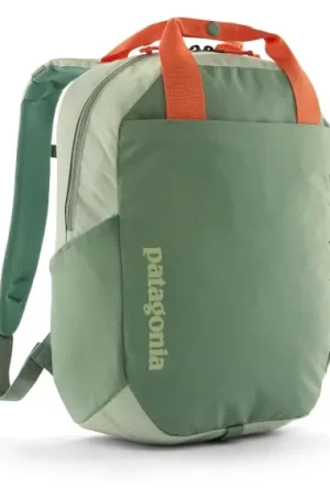 Patagonia Atom Tote Pack 20L, LNGR Prix Cassé