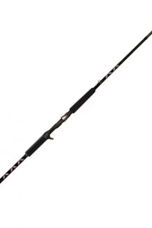 Certifié BFT Buster Stiff 6' -150g 2pcs Casting