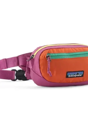 Quantité Limitée Patagonia Terravia Mini Hip Pack FDMG
