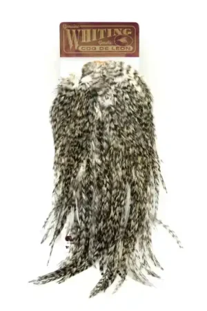 Whiting Coq de Leon Bronze Saddle - Grizzly Haute Qualité