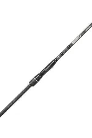 BFT Lizzard X 8'1'' XH -70g, 2 pcs Evert Oostdam Authentique