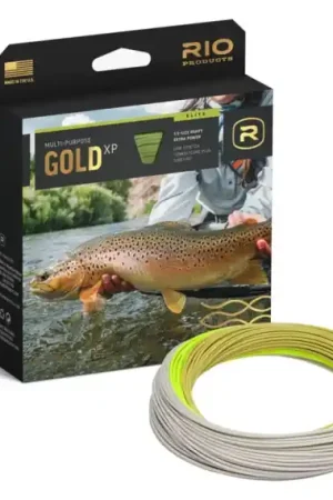RIO Elite Gold XP - #4 Retour Gratuit