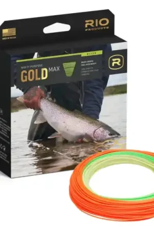 Dernière Chance RIO Elite Gold Max - #8