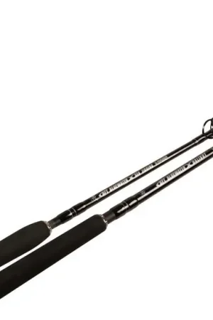 Offre Limitée BFT Blue Water, Sea Jigging 5.8' Black Edition -450g, 2pcs