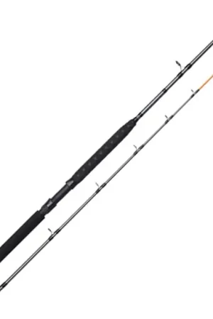 D.A.M Salmonizer Trolling 7'/2.10m M 10-20Lbs 2Sec Livraison Express