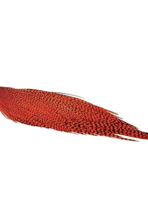 Whiting High & Dry Hackle 1/2 Cape - GD/Orange Nouvel Arrivage