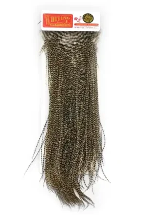 Whiting Gold Saddle - Black Achetez Aujourd'hui