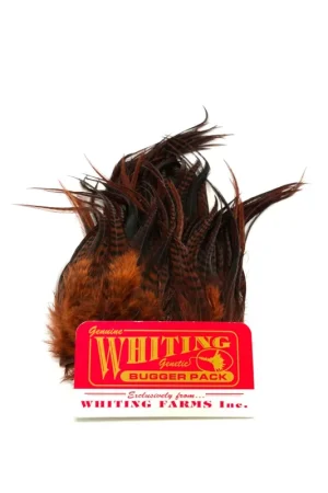 Haute Qualité Whiting Bugger Pack Grizzly dyed Golden Olive