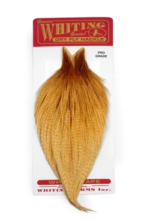 Certifié Whiting Pro Grade Cape Barred Medium Ginger