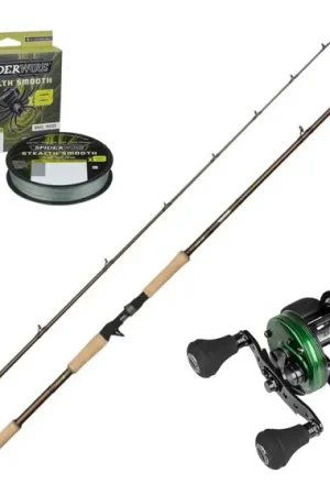 Meilleur Choix Abu Garcia Beast Pro2 Casting Combo