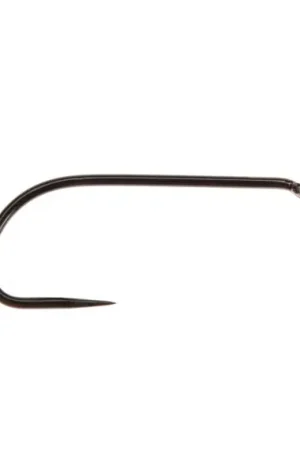 Meilleur Prix Ahrex FW581 - Wet Fly #12