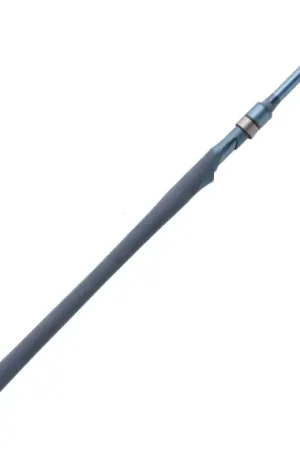 Réduction AAVA Meri Spinning Rod 10'1'' 9-36g