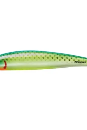 Bomber B15A Long A 13gr 12cm WBC Acheter Direct