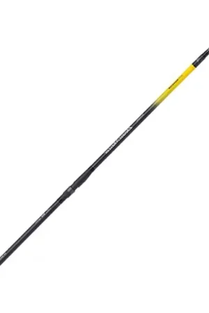 Acheter En Ligne Shimano Beastmaster AX Monster 4,20m 200g 4pc