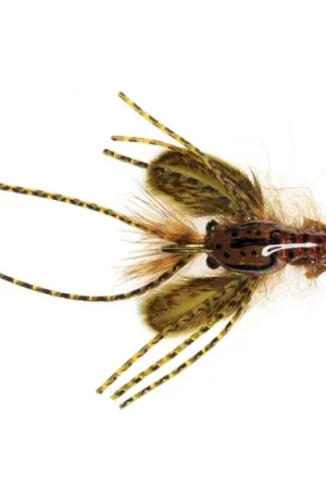 Umpqua Creek Crawler Olive #4 Hada's Offre Spéciale