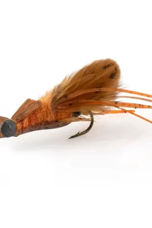 Umpqua Creek Crawler Dirty Orange #4 Hada's Usine Directe