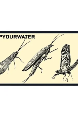 Offre Limitée RepYourWater Sticker - The Hatch