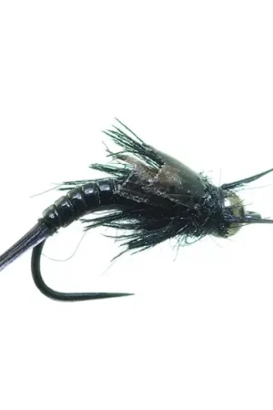 Umpqua Little Black Sloan - #16 Meilleure Vente