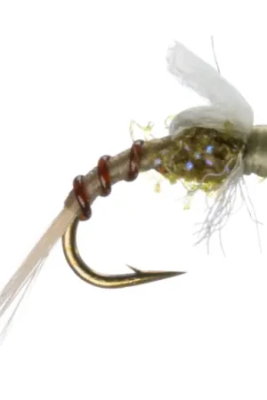 Umpqua Graveyard Baetis Wood - #22 Meilleure Vente