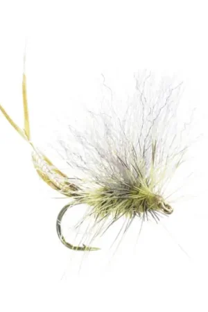 Promotion Umpqua Extended Body Green Drake - #12