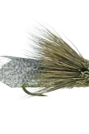Umpqua Clark's Cicada Olive - #10 Commande En Gros
