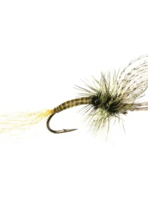 Offre Limitée Umpqua Maldos PMD Emerger Maldonado - #18