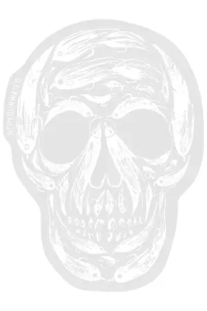 RepYourWater Sticker - Fly Til You Die Satisfait Ou Remboursé