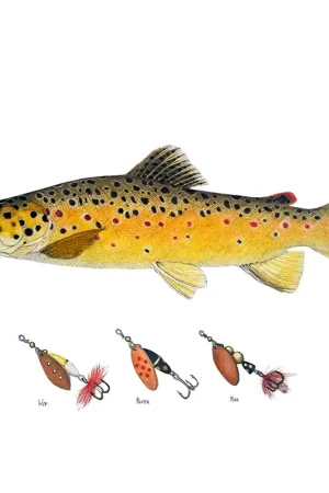 Top Vente Myran Framed Brown Trout Poster