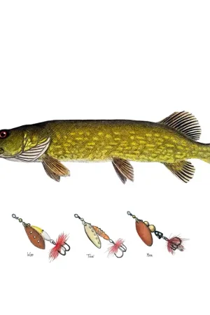 Satisfait Ou Remboursé Myran Framed Pike Poster