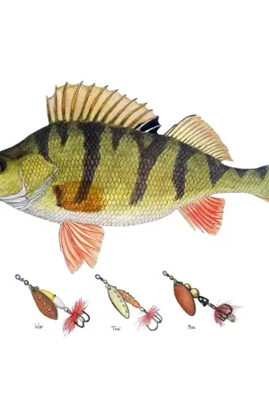 Myran Framed Perch Poster Offre Limitée