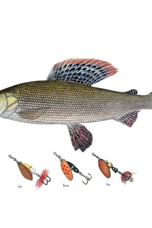 Myran Framed Grayling Poster Remise