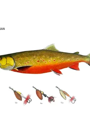 Myran Framed Arctic Char Poster Nouveauté